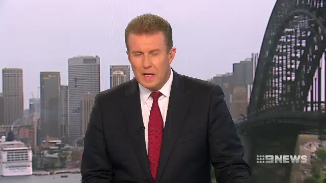 A man who was stabbed with a knife in an alleged lone wolf terror attack at Minto has told the Supreme Court he will never fully recover. 