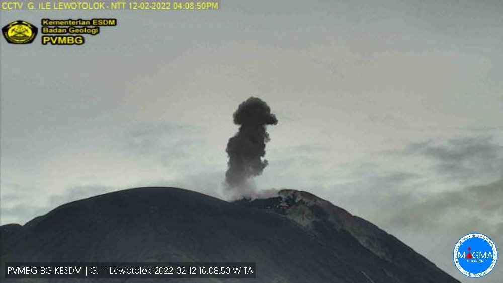 Indonesia: Mount Ili Lewotolok erupted on Saturday, February 12, 2022, at 16:04 WITA with the height of the ash column observed ± 800 m above the peak (± 2223 m above sea level)