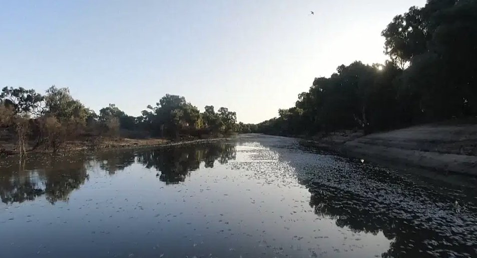 Millions of fish have washed up dead in southeastern Australia in what authorities and scientists say is caused by floods and hot weather.flushed  This is the third mass fish die-off to hit the area since 2018