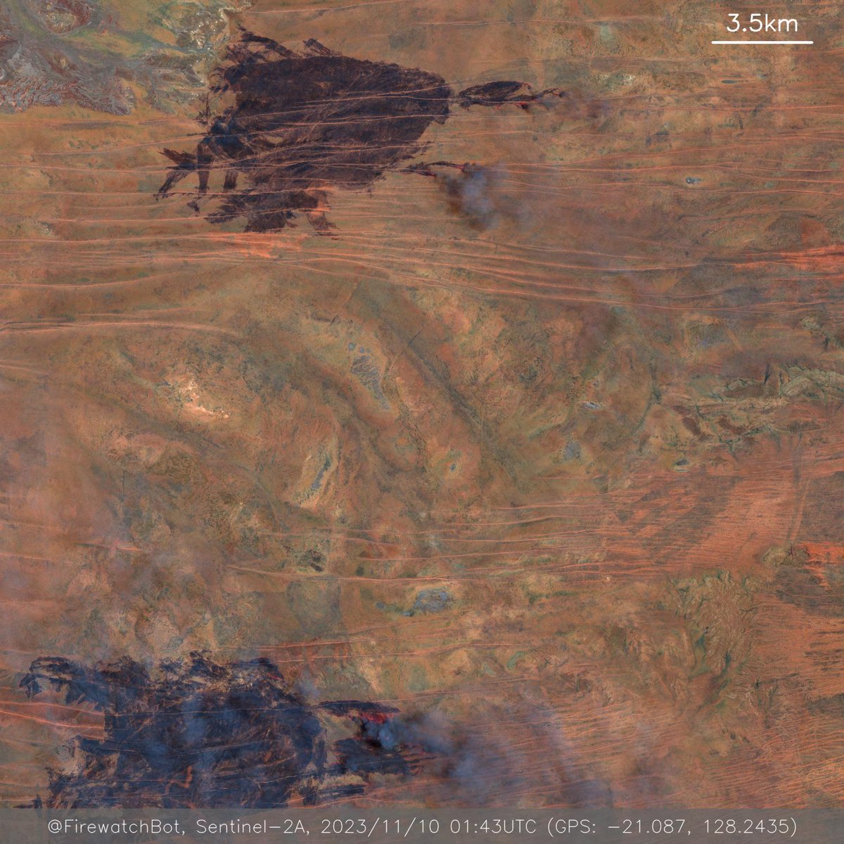 Fire detected from Sentinel2 Place: Shire of Halls Creek, Western Australia, Australia